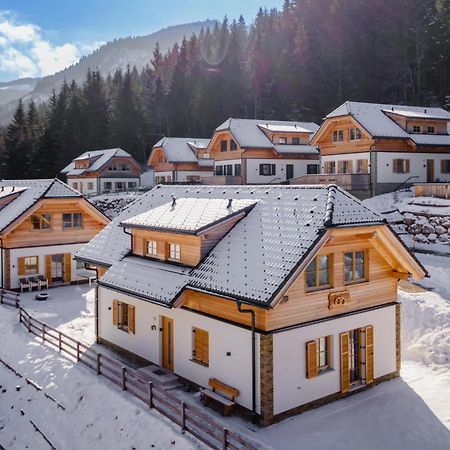 Chalet Pretzel Donnersbachwald Kültér fotó